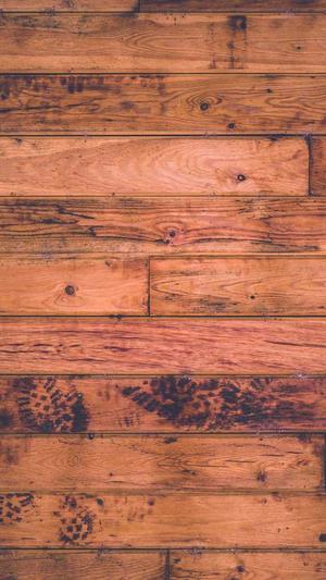 搜狗蜘蛛池官方网站截图4