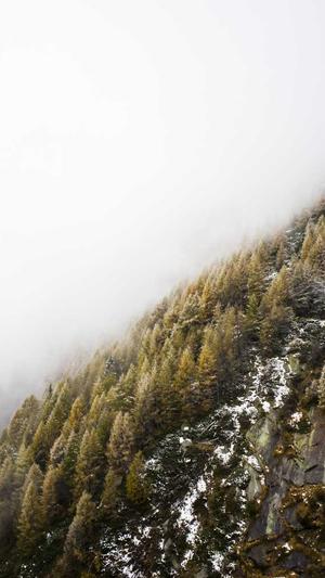 泛目录单页截图1