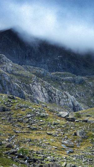 阿里蜘蛛池破解截图1