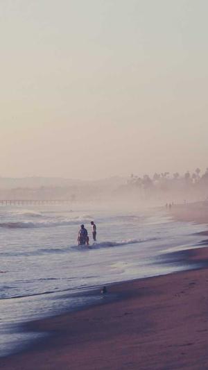 上海seo排名工具截图5