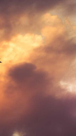 网站seo优化辅助工具截图2