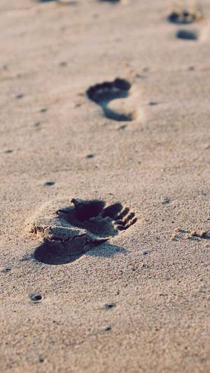 英文seo关键字工具截图4