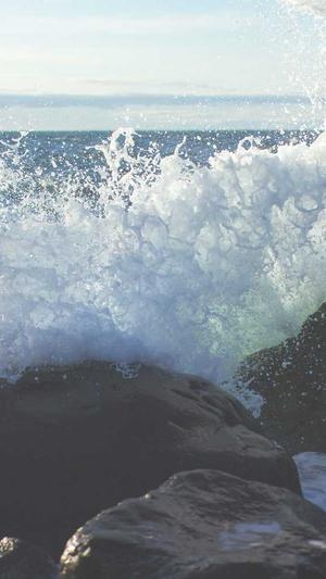 超级蜘蛛池最新章节截图5