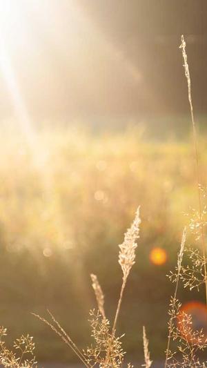 南宁百度seo截图4