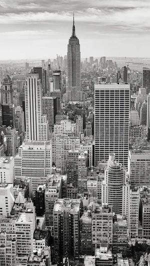 seo网页评分工具截图2