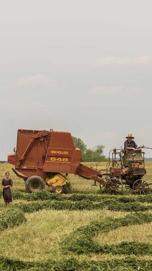 seo优化工具网站截图1