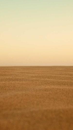 汕头网站建设截图3