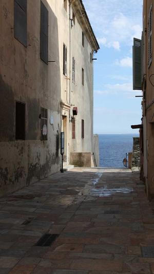 网站seo优化辅助工具截图3