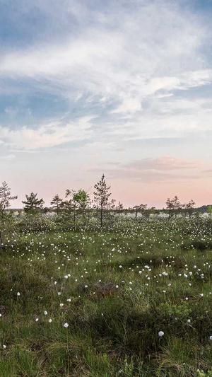 搜狗泛目录站群代发截图1