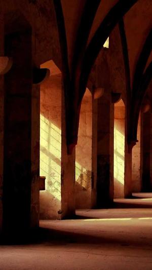 百度seo工具排名截图4