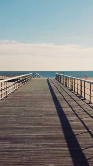 汕头网站建设截图2