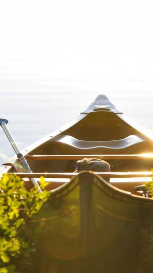 seo系统培训截图1