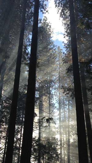 蜘蛛池的图片高清壁纸截图2