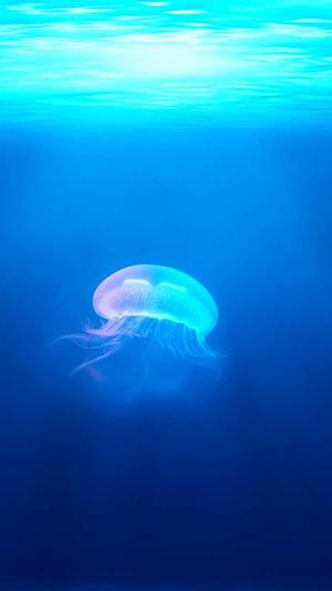 淄博网站建设截图5