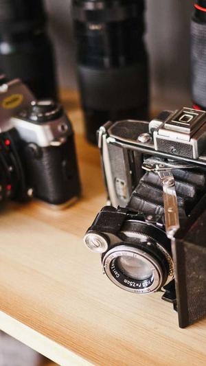 泛目录站群是什么截图1