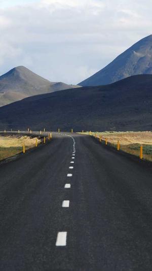 泛目录泛域名做法截图1