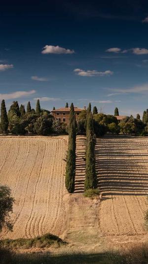 蜘蛛池怎么养鱼截图4