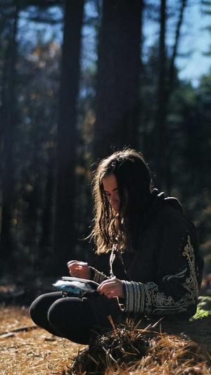 大连网站建设公司截图3