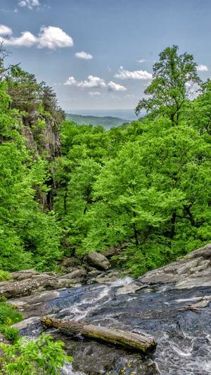 SEO查询工具截图2