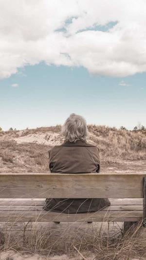 seo黑帽培训推广工具截图2