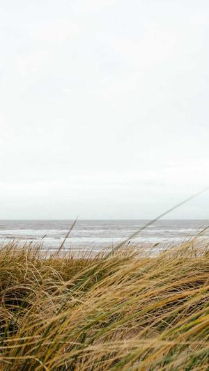 长春网站seo截图1