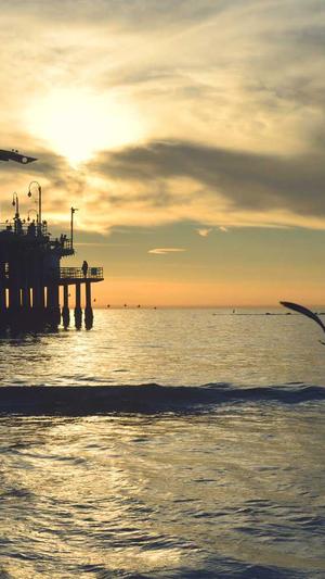 百度蜘蛛池的做法截图3