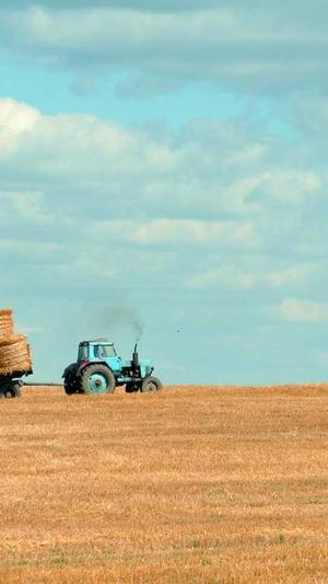 淄博网站建设截图3
