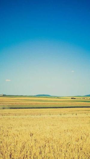 Seo优化工具截图1