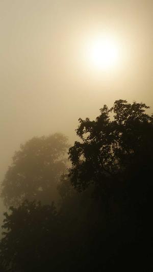 原子核泛目录截图2