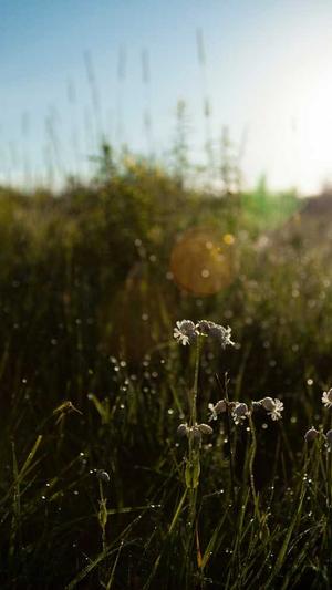 霸屏侠泛目录程序截图4