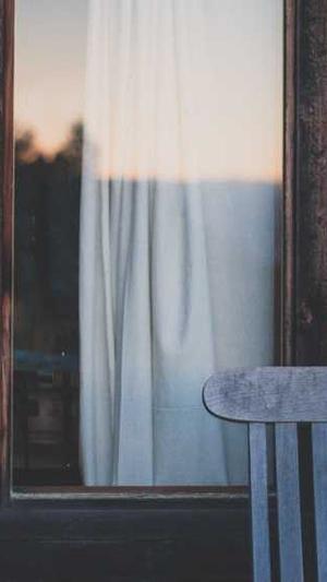 宝塔可以安装蜘蛛池截图1