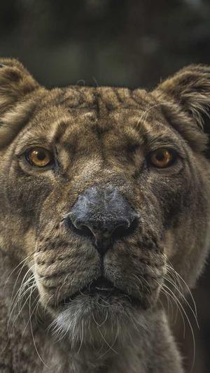 泛目录要搭配蜘蛛池吗截图3