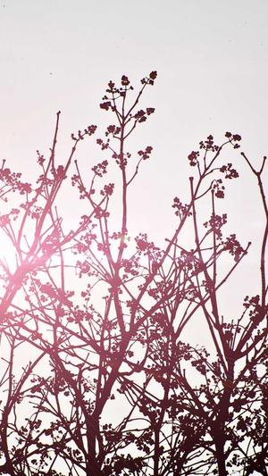 百度SEO关键词工具截图1