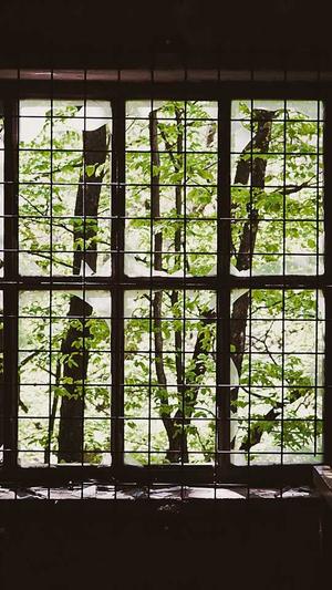 泛目录seo 资源截图1