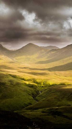 海南蜘蛛池租用截图4