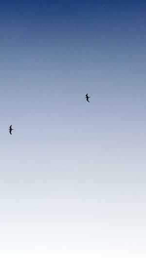 杭州seo工具截图5