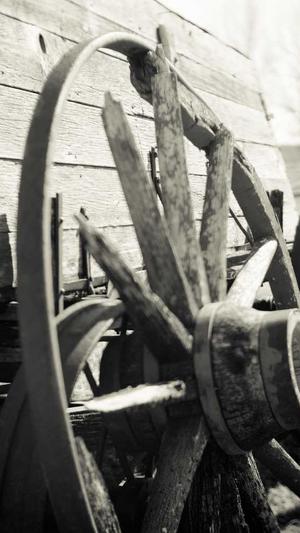 seo自动生成工具霸屏截图3