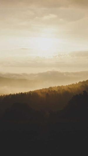 泛目录排名接单截图1