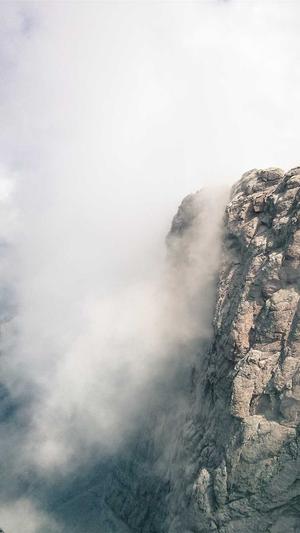 蜘蛛池源码全为zjkwlgs截图5