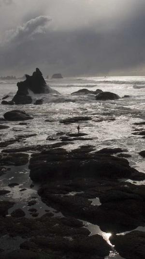 网站建设合同截图2