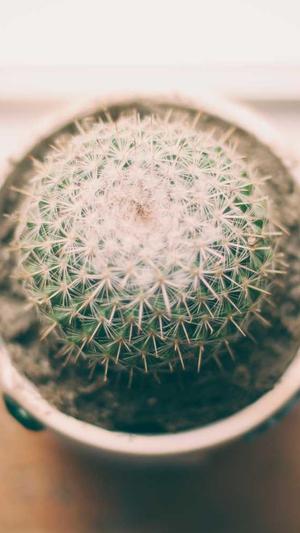 北京网站建设制作公司截图4