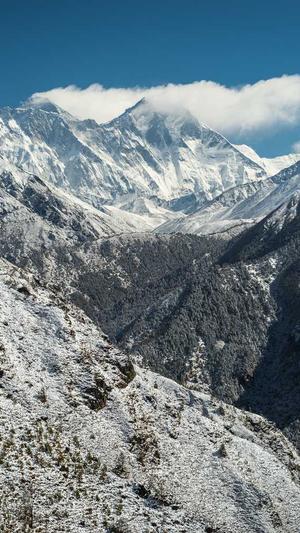 蜘蛛池的缺点有哪些截图1