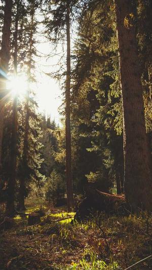 阿里蜘蛛池搭建截图4