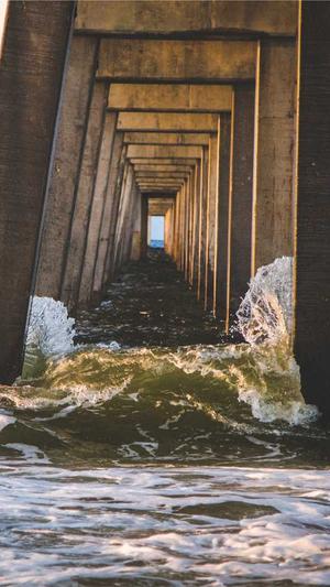 红蜘蛛池客户端截图1