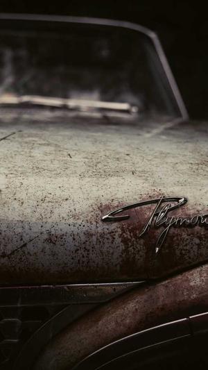 莲花泛目录截图3