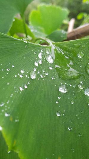 兰州seo优化截图4