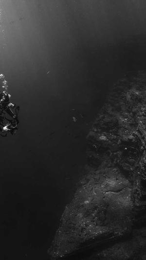 蜘蛛池出租托管截图4