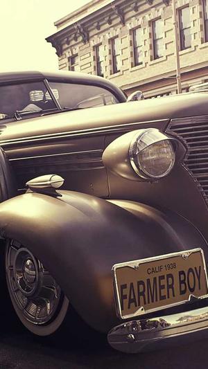 山西搜狗蜘蛛池租用截图3