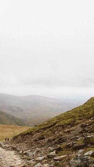 网站建设上海截图3