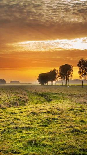 蜘蛛池怎么养鱼截图5